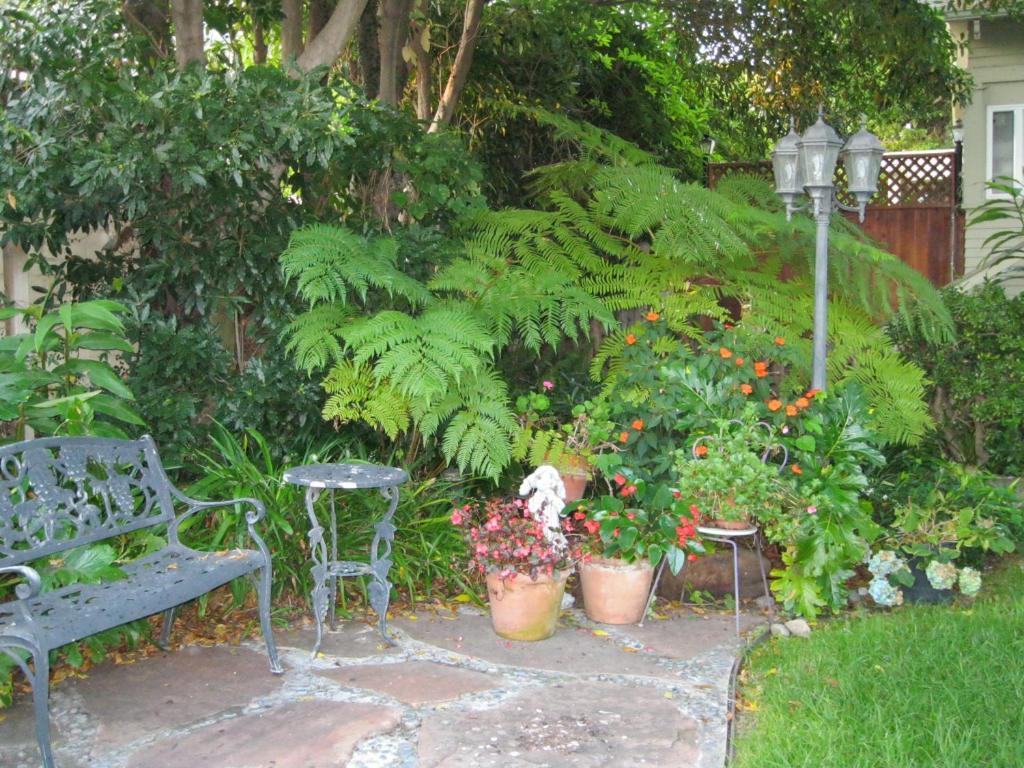 A White Jasmine Inn Santa Barbara Exterior foto